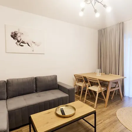Cozy Minimal Apartament Center. Apartment Bucharest